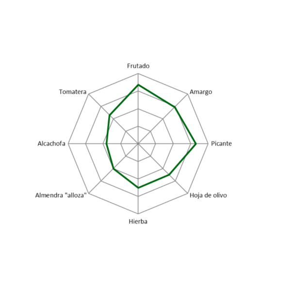 Molisabor natives Olivenöl extra (AOEVE) Picual, PET 2 l. 8 Einheiten. 2