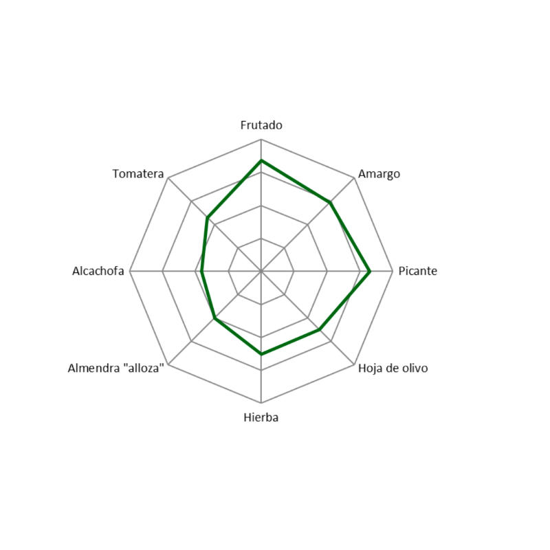 Molisabor natives Olivenöl extra (AOEVE) Picual, PET 2 l. 8 Einheiten.