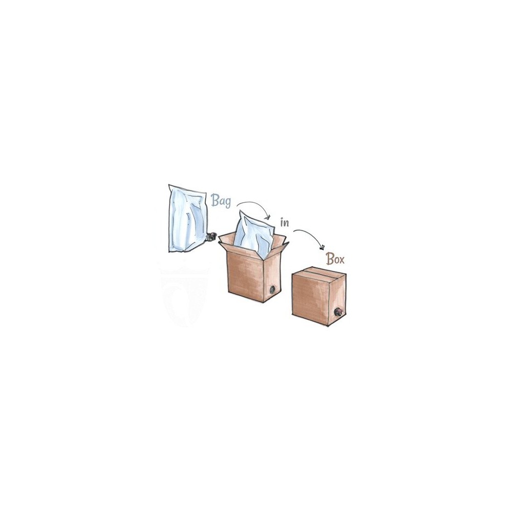 Molisabor AOEVE, bag in box 5 l.
