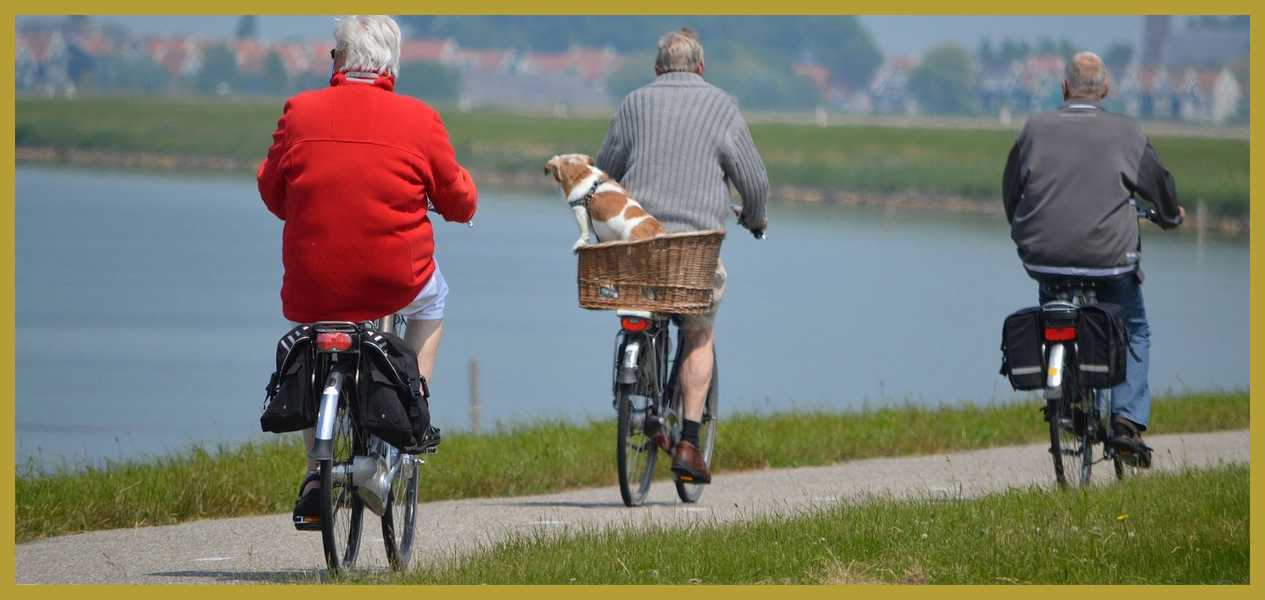 Healthy life at older age
