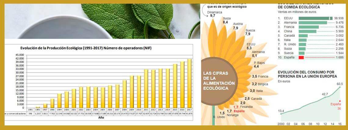 aceite-y-olivos