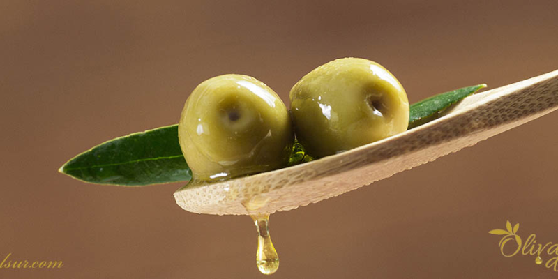 ▷ Propiedades y beneficios del aceite de oliva Picual